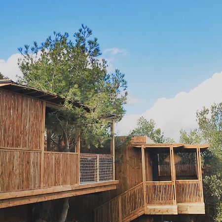 Villa Occitana كالفيسون المظهر الخارجي الصورة